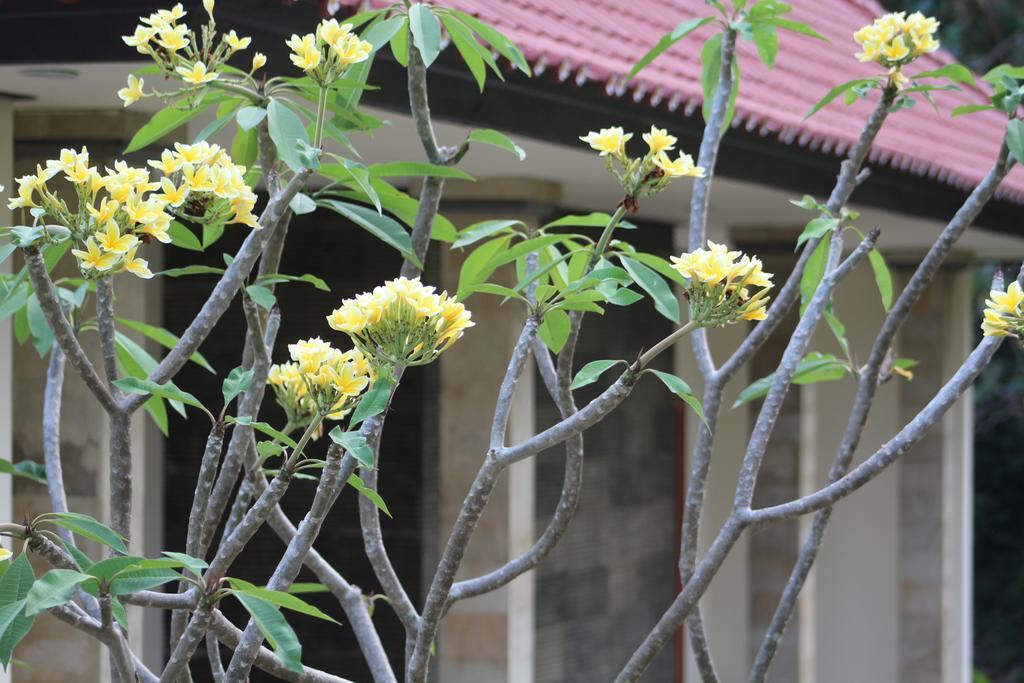 Lala Home Stay Nusa Dua  Exterior photo